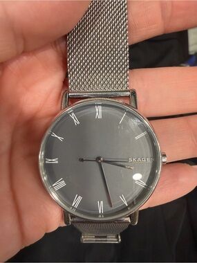 Skagen Men's Minimalist Gray Dial Mesh Watch